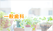 一般歯科