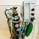 酸素・笑気麻酔